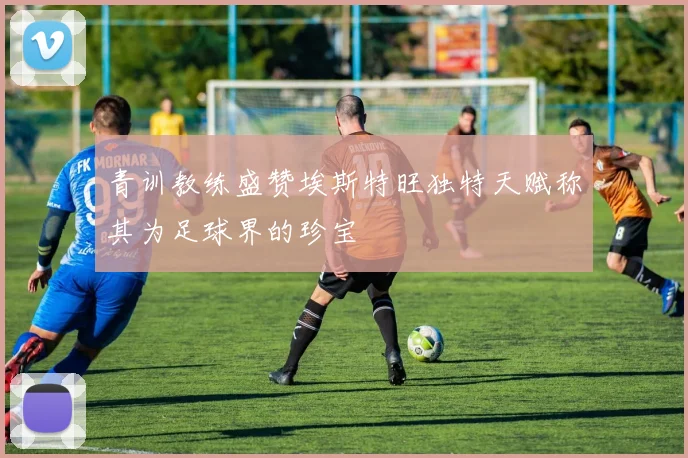 青训教练盛赞埃斯特旺独特天赋称其为足球界的珍宝